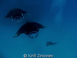Mantas and photographer by Kirill Zinoviev 